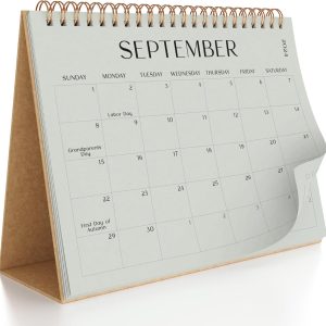 Aesthetic Desk Calendar 2024-2025 - Runs from August 2024 Until December 2025 - Minimalistic Office Desktop/Wall Calendar 16"x12" for Easy Organizing